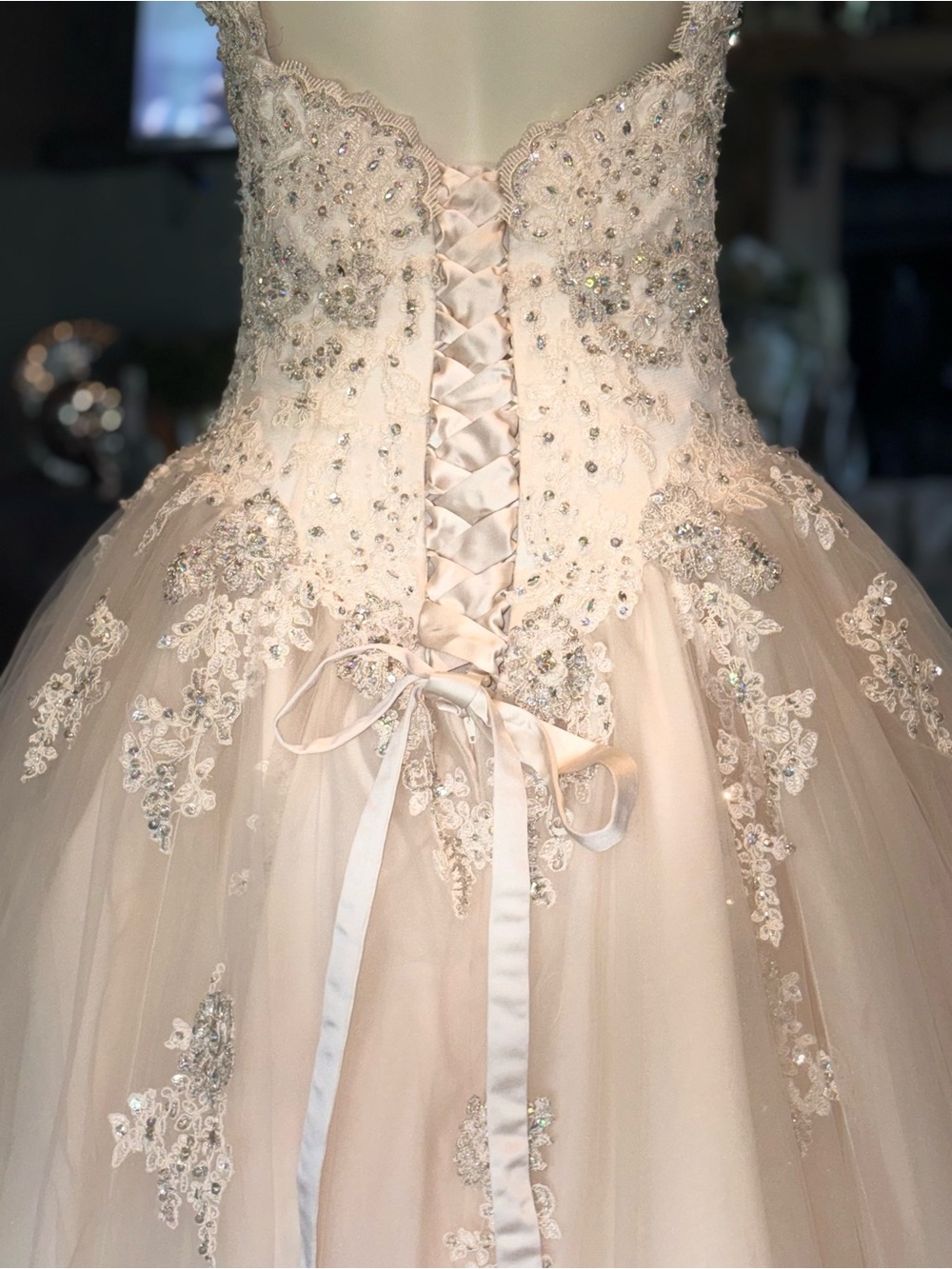 Morilee Gardner, Quinceañera Tulle Gown/ Ivory w/Champagne overlay/ nude lining.